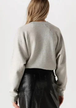 CATWALK JUNKIE grijze trui relaxed raglan sleeve sweater with strass><noscript><img width=
