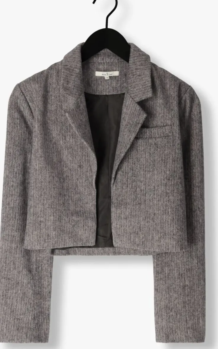 grijze circle of trust blazer laura blazer