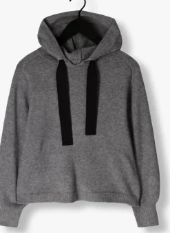 grijze co'couture trui row hoodie knit