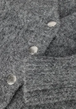 CO'COUTURE grijze co'couture vest corelie button knit><noscript><img width=