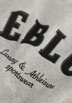 grijze deblon sports sweater puck sweater