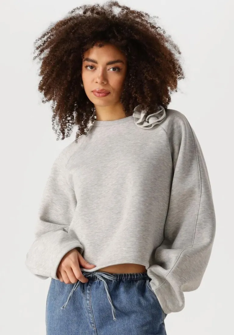 EDITED grijze sweater xezal sweater>DAMES Truien & Vesten