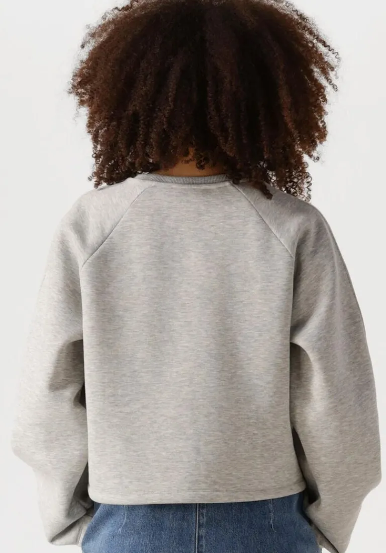 EDITED grijze sweater xezal sweater>DAMES Truien & Vesten