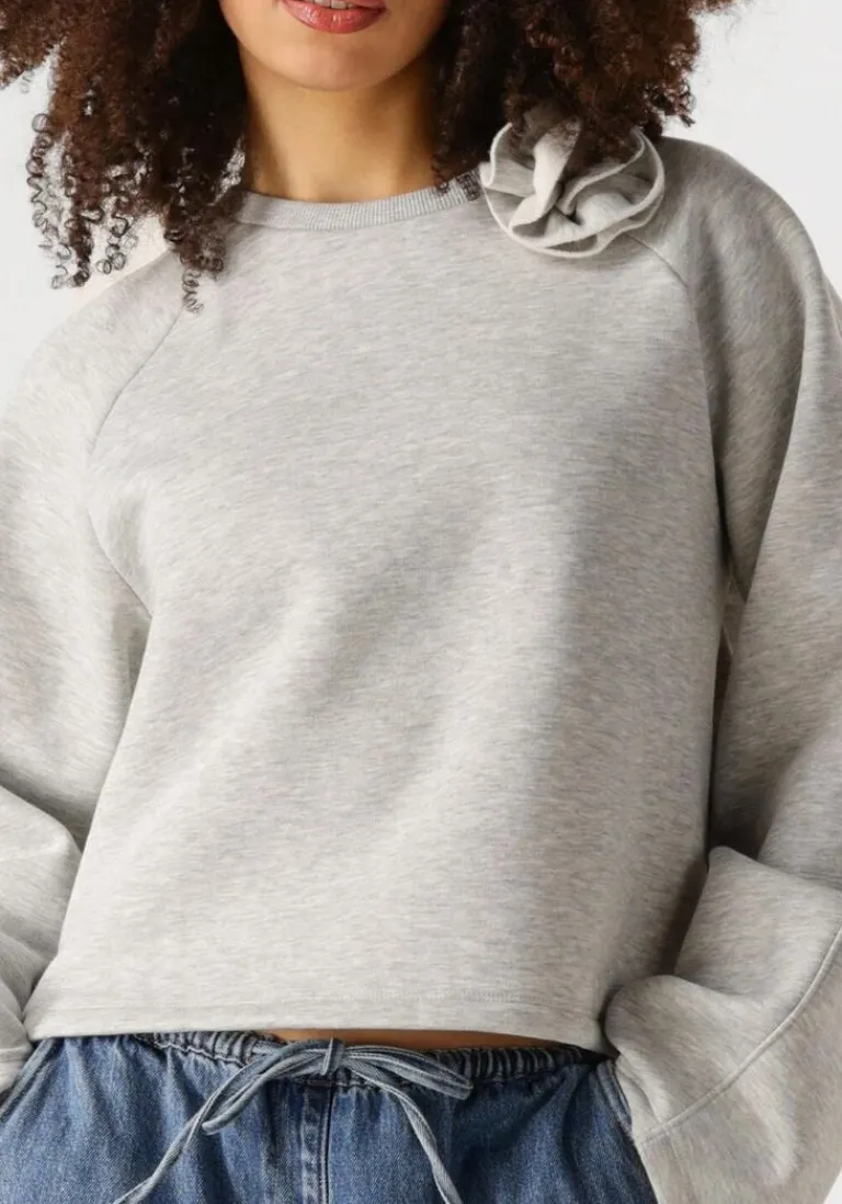 EDITED grijze sweater xezal sweater>DAMES Truien & Vesten