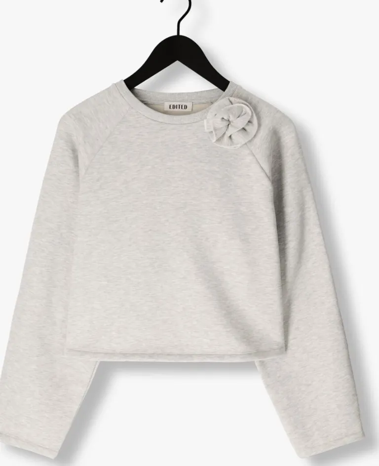 EDITED grijze sweater xezal sweater>DAMES Truien & Vesten