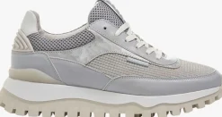 FLORIS VAN BOMMEL grijze lage sneakers sfw-10100>DAMES Sneakers