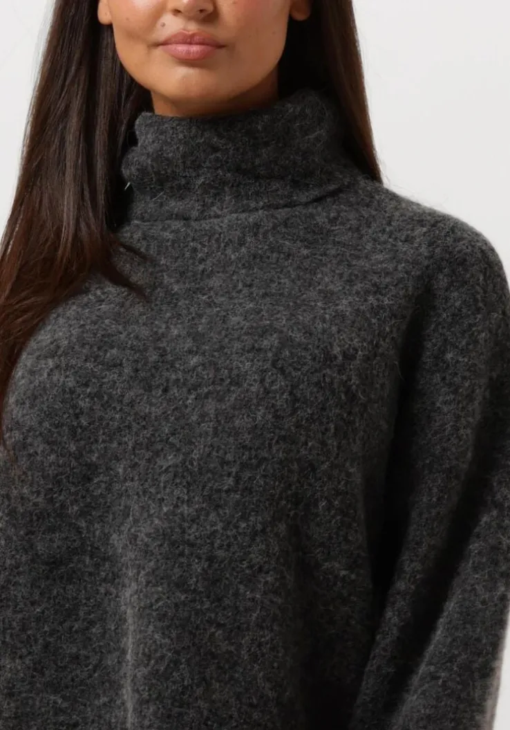 grijze gestuz coltrui alphagz rollneck