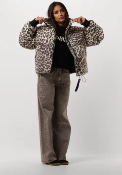 HARPER & YVE grijze flared jeans mayra-pa><noscript><img width=