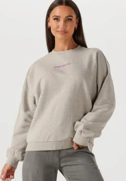 HARPER & YVE grijze trui guiltylist-sw>DAMES Truien & Vesten