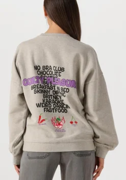 HARPER & YVE grijze trui guiltylist-sw><noscript><img width=