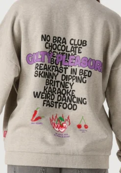 HARPER & YVE grijze trui guiltylist-sw><noscript><img width=