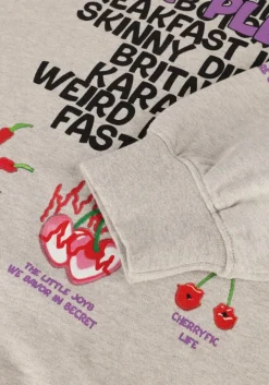 HARPER & YVE grijze trui guiltylist-sw><noscript><img width=