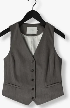 JANICE grijze gilet dave gilet><noscript><img width=