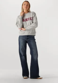 JANICE grijze sweater andy>DAMES Truien & Vesten