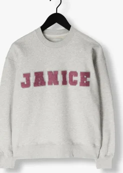 JANICE grijze sweater andy><noscript><img width=
