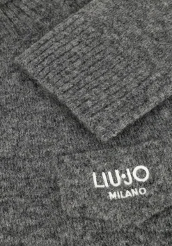 LIU JO grijze coltrui 3.0 maglia chiusa m/l><noscript><img width=