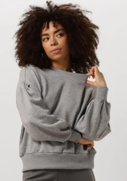 MINUS grijze trui roselia sweat>DAMES Truien & Vesten