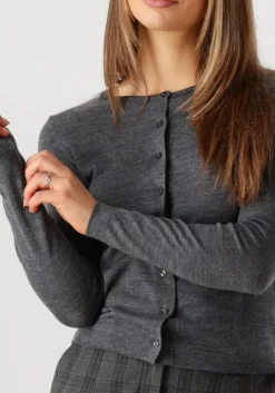 grijze modström vest hirokimd short cardigan