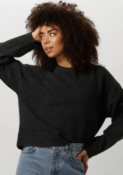 grijze neo noir trui detri solid knit blouse