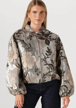 grijze notre-v jack nv-gaya