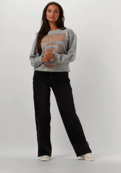 REFINED DEPARTMENT grijze sweater jane>DAMES Truien & Vesten