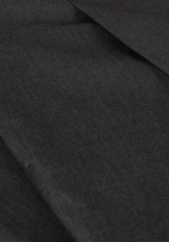 SCOTCH & SODA grijze pantalon rose pleated high-rise wide leg pant><noscript><img width=