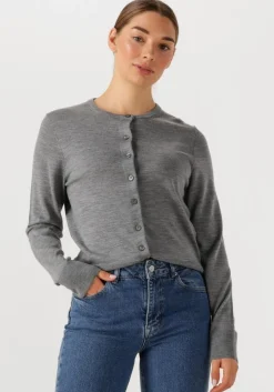 SELECTED FEMME grijze vest slfthea ls knit merino cardigan>DAMES Truien & Vesten