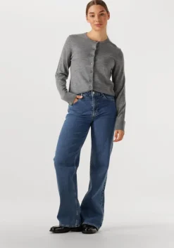 SELECTED FEMME grijze vest slfthea ls knit merino cardigan>DAMES Truien & Vesten