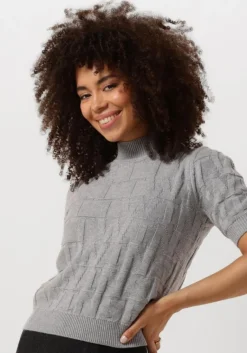 TWINSET MILANO grijze trui 242tp3600>DAMES Truien & Vesten