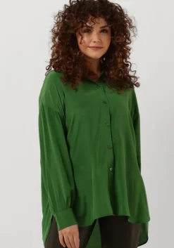 groene idano blouses abla