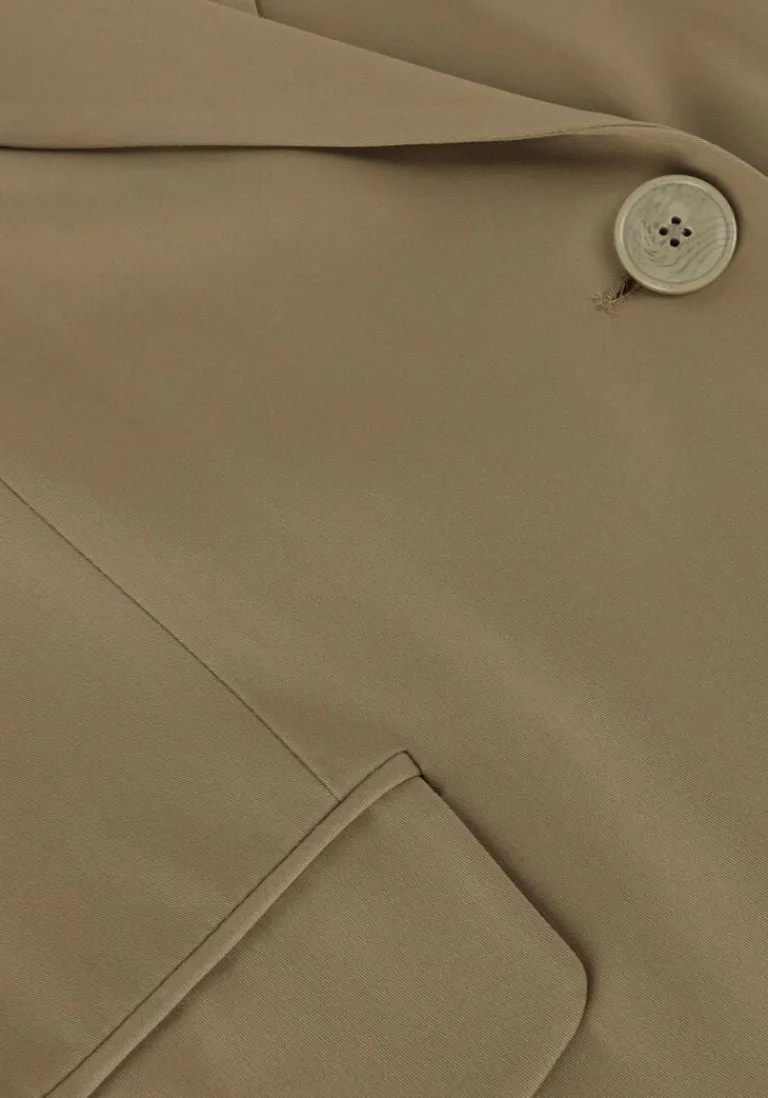 INWEAR e blazer adianiw blazer>DAMES Blazers