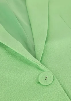 groene my essential wardrobe blazer carlamw blazer