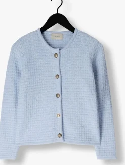 lichtblauwe neo noir vest limone knit jacket