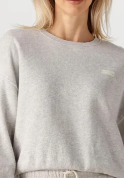 AMERICAN VINTAGE lichtgrijze sweater kodytown woman><noscript><img width=