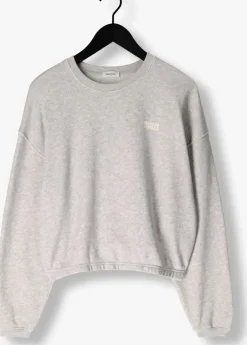 AMERICAN VINTAGE lichtgrijze sweater kodytown woman><noscript><img width=