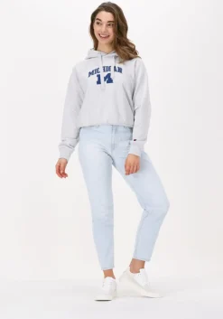 CHAMPION lichtgrijze trui hooded sweatshirt 115110>DAMES Truien & Vesten|Truien & Vesten