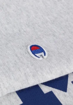 CHAMPION lichtgrijze trui hooded sweatshirt 115110><noscript><img width=