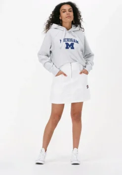 CHAMPION lichtgrijze trui hooded sweatshirt 115110><noscript><img width=