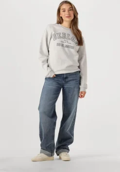 lichtgrijze deblon sports sweater cecile