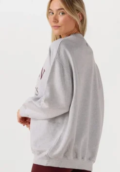 DEBLON SPORTS lichtgrijze sweater lilou sweater><noscript><img width=