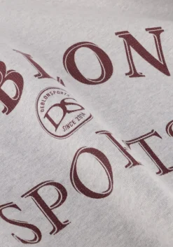 DEBLON SPORTS lichtgrijze sweater lilou sweater><noscript><img width=