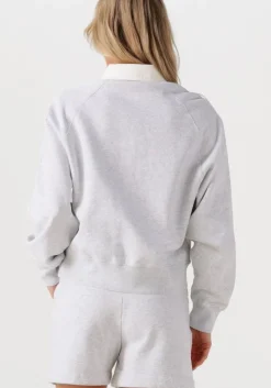 DEBLON SPORTS lichtgrijze trui coco><noscript><img width=