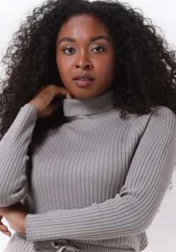 lichtgrijze esmé studios coltrui june roll neck knit