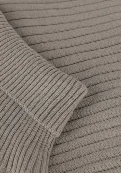 lichtgrijze esmé studios coltrui june roll neck knit