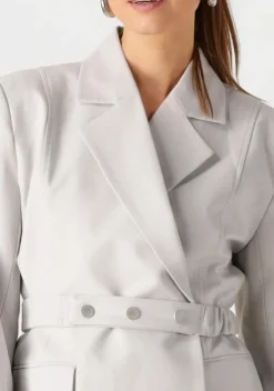 lichtgrijze gestuz blazer dagnygz blazer