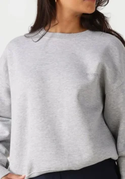 MODSTRÖM lichtgrijze modström sweater tiamd sweat><noscript><img width=