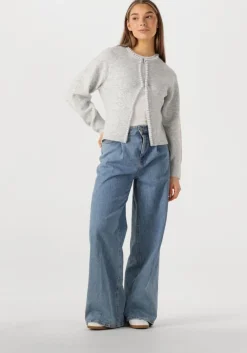 NEO NOIR lichtgrijze vest lily pearl knit cardigan>DAMES Truien & Vesten