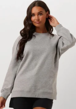 SELECTED FEMME lichtgrijze sweater slfgia yrsa ls crew neck sweat>DAMES Truien & Vesten