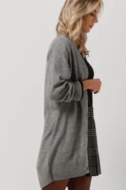 VANILIA lichtgrijze vest vikke><noscript><img width=