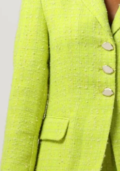 lime fabienne chapot blazer cher blazer
